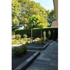 60Plus Soft Comfort Grezzo